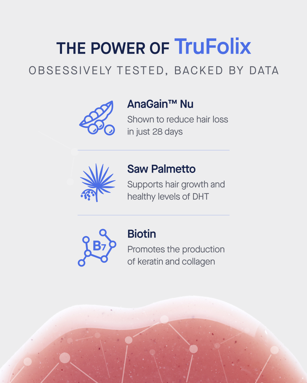 Infografía titulada 