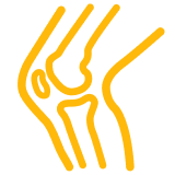 Joint & Bone Health
