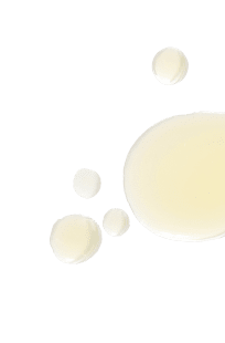 Collagen powder